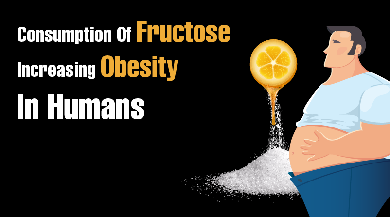 Consumption Of Fructose Increasing Obesity In Humans