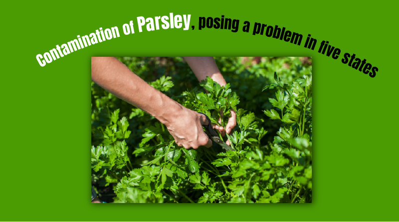 Contamination of Parsley, posing a problem in five states
