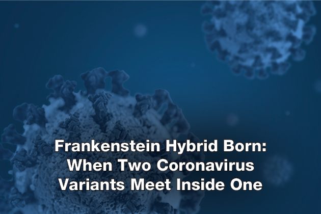 Frankenstein Hybrid Born When Two Coronavirus Variants Meet Inside One