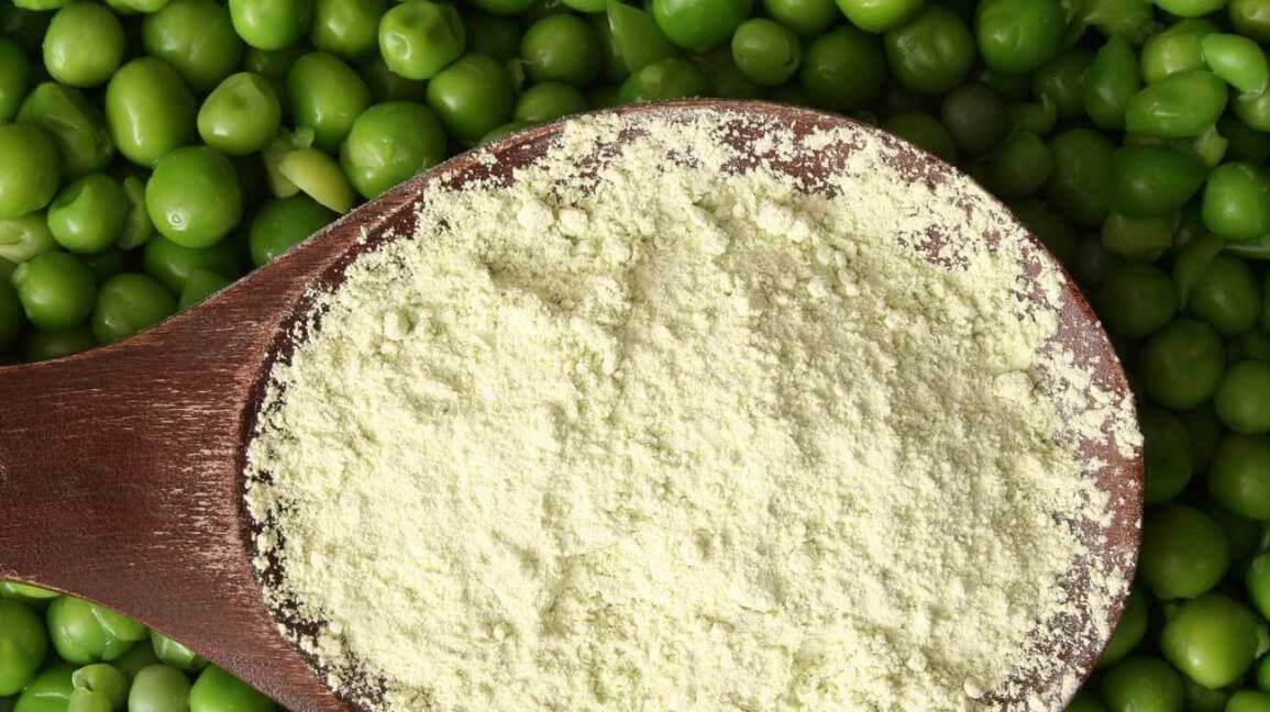 developing functional ingredients a case study of pea protein