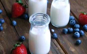 Yogurt And Probiotic Drink Market