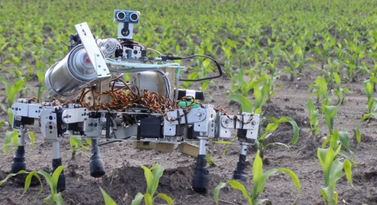 Precision Agricultural Application Robot Market